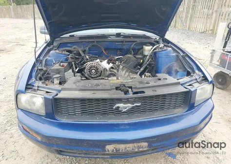 2007 Ford Mustang V6 Deluxe/V6 Premium z USA, uszkodzony, nr VIN 1ZVFT80N975270219